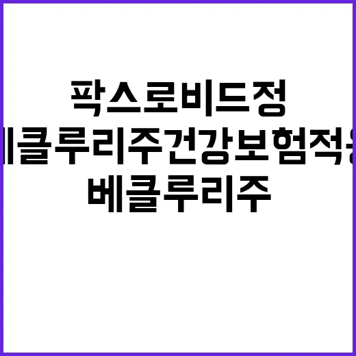 팍스로비드정 베클루…