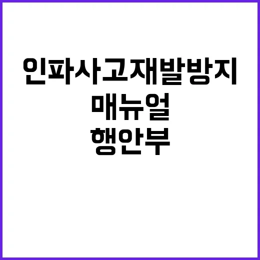 행안부 매뉴얼 인파사고 재발 방지 대책 공개!