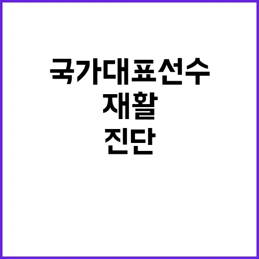 국가대표선수 진단·…