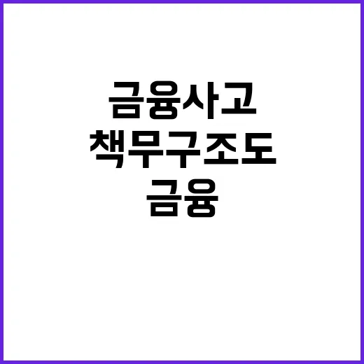 ‘책무구조도’ 금융…