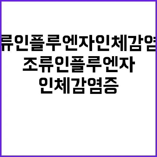 조류인플루엔자 인체…