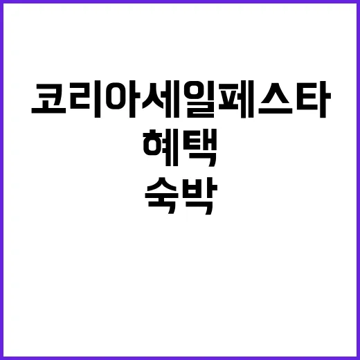 코리아세일페스타 숙…