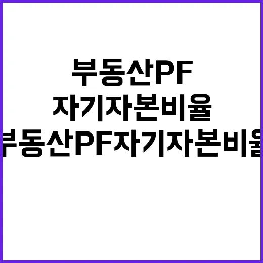 부동산 PF 자기자…