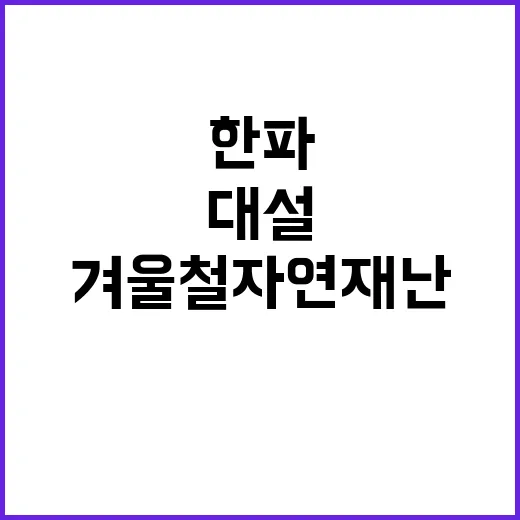 겨울철 자연재난 대…