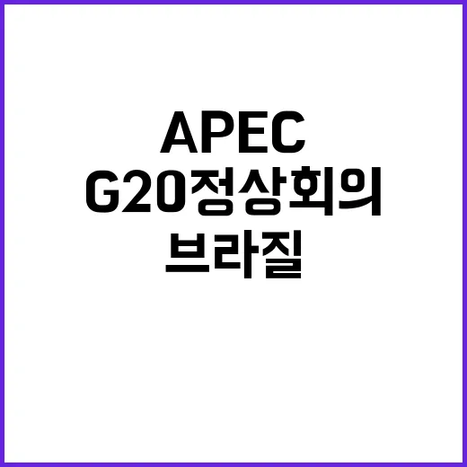 APEC 브라질 G20 정상회의의 새로운 기회가 온다!