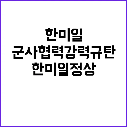 한미일 정상 불법 …