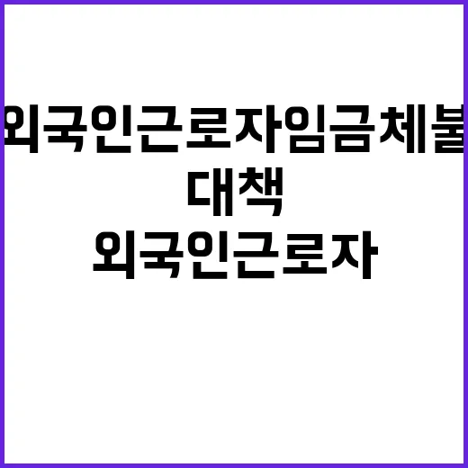 외국인근로자 임금체…