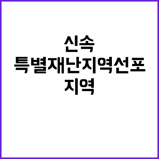 특별재난지역 선포 …