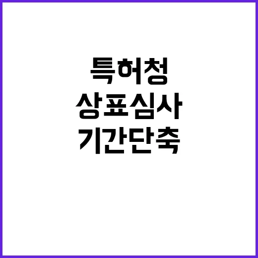 특허청 상표심사 기…