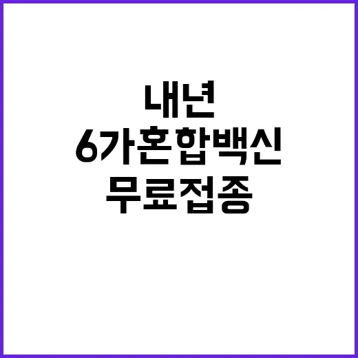 ‘6가 혼합백신’ 내년 무료 접종으로 건강 지키기!