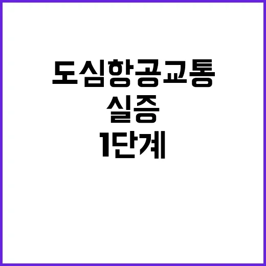 도심항공교통 다음 …