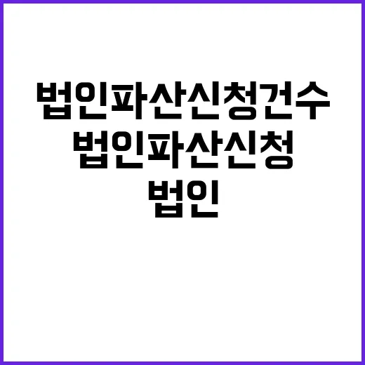 법인 파산 신청 건…