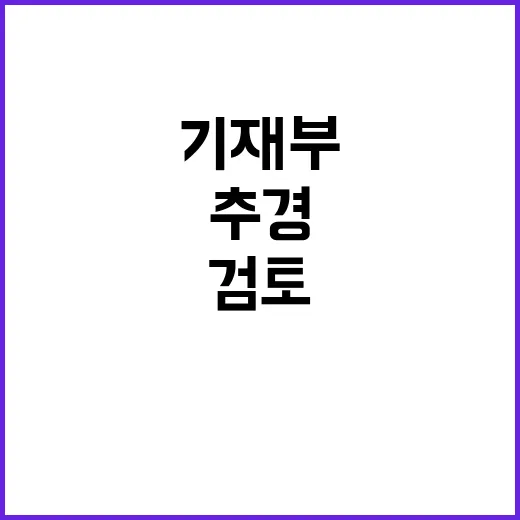 추경예산 검토? 기재부의 놀라운 발표!