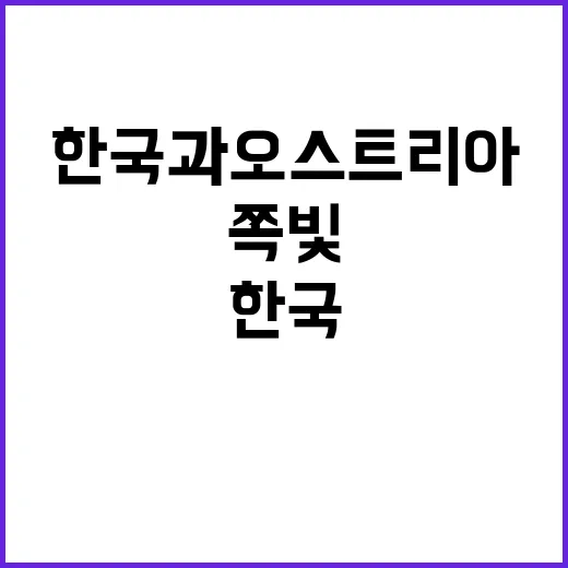 쪽빛 염색 한국과 오스트리아에서 만나는 전시!