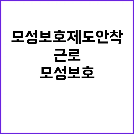 고용부 모성보호 제…