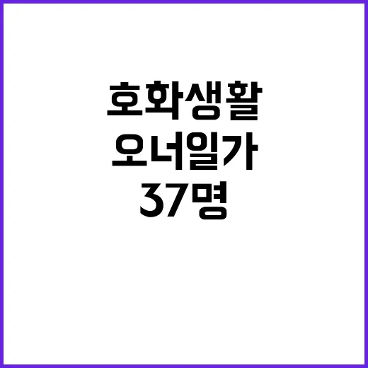 세무조사 37명 오…