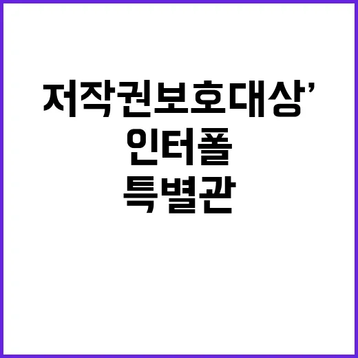 ‘저작권 보호 대상…