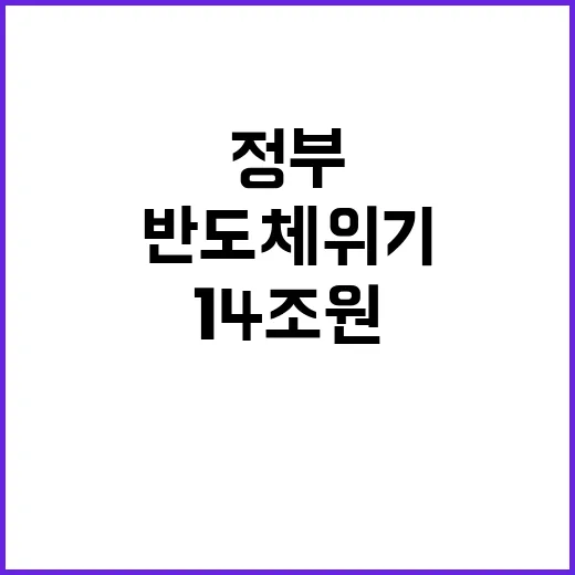 반도체 위기 정부의…