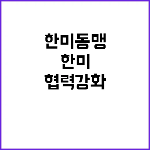 한미동맹 외교부의 …