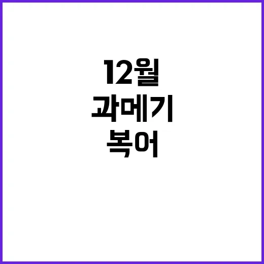 과메기·복어 12월…