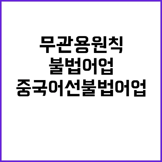 중국어선 불법 어업…