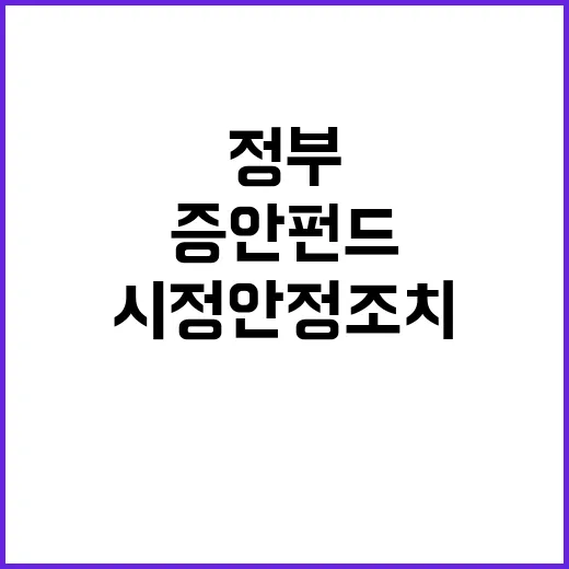 증안펀드 정부의 시…