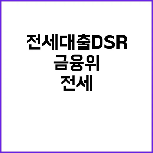 전세대출 DSR 금융위 결정에 대한 사실 확인!