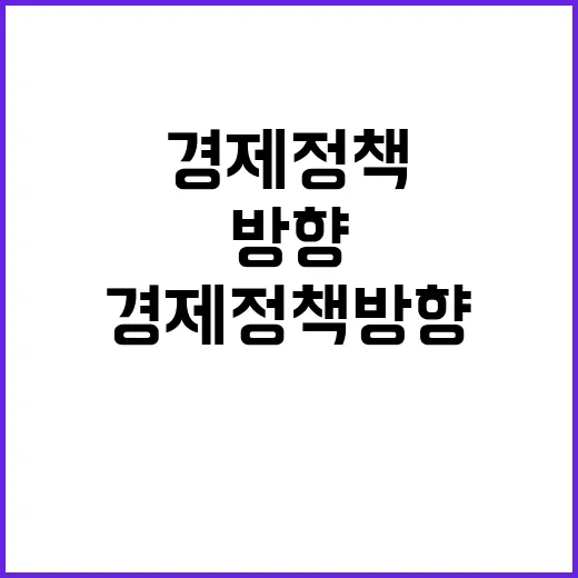 경제정책방향 구체적 내용 아직 결정되지 않았다!