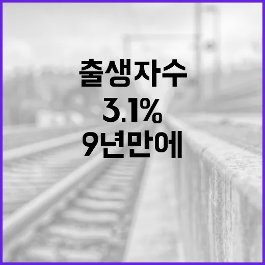 출생자 수 9년 만에 반전! 3.1% 증가!