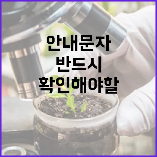 눈이 많이 내리면 반드시 확인해야 할 안내문자!