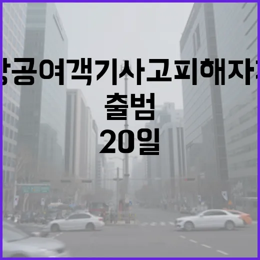 제주항공 여객기 사고 피해자 지원단 20일 출범!