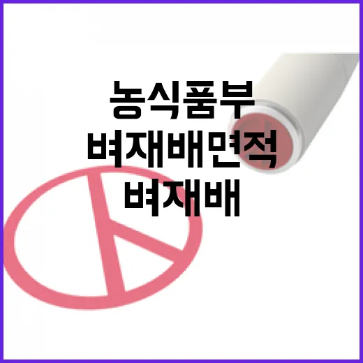 농식품부 벼 재배 면적 감축 소문 사실무근!