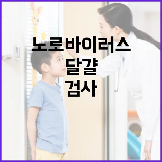 달걀 검사 살모넬라·노로바이러스 집중관리 소식!