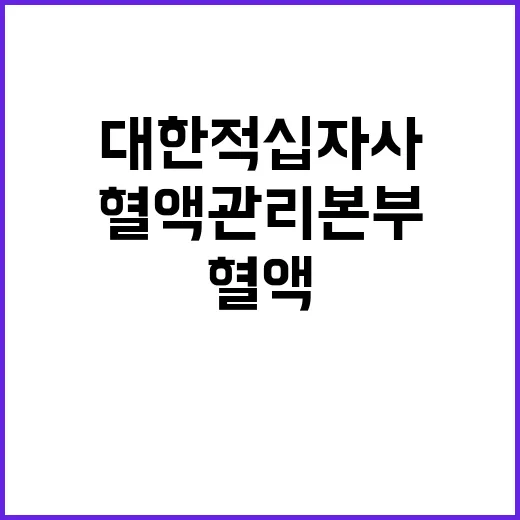 대한적십자사 비정규…