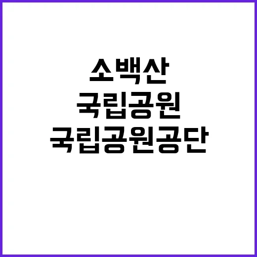 국립공원공단 비정규…