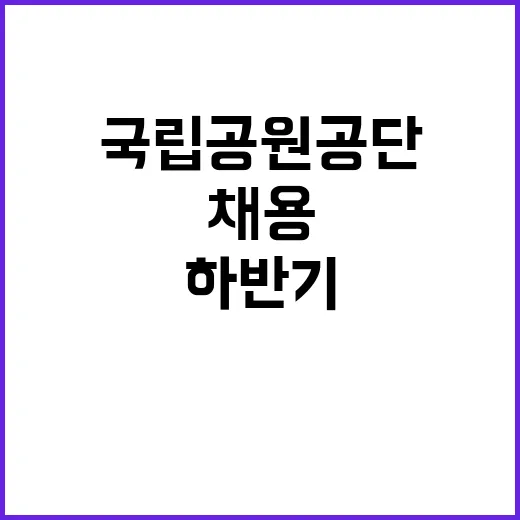 국립공원공단 비정규…