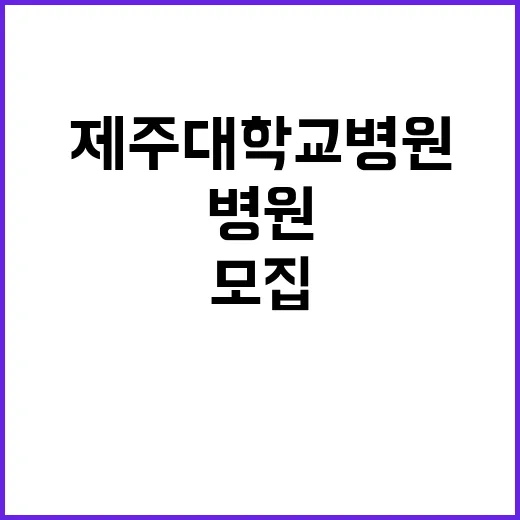 제주대학교병원 전일제 계약직 및 단시간 계약직(장애인_검진안내 및 업무보조 등) 블라인드 모집공고