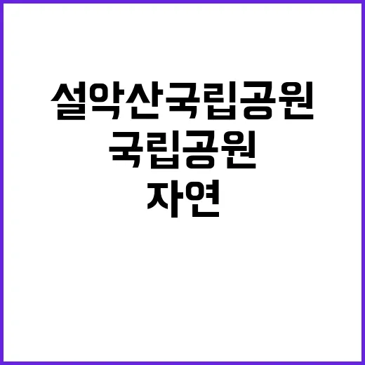 국립공원공단 비정규…