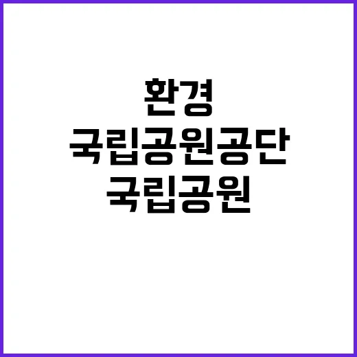 국립공원공단 비정규…