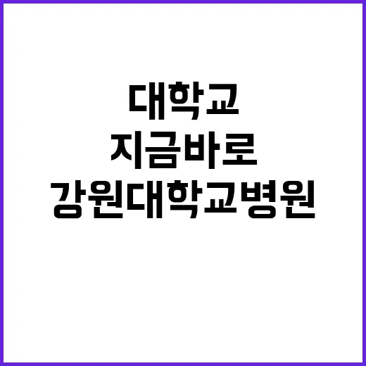 강원대학교병원 비정…