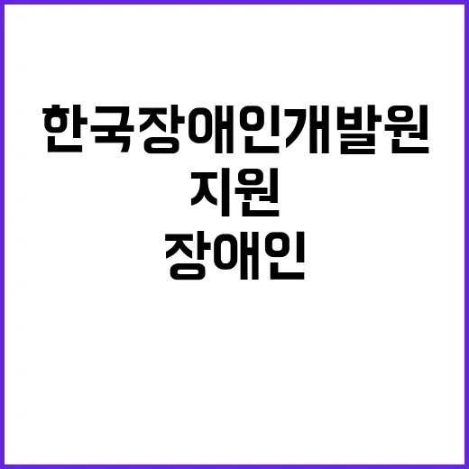 한국장애인개발원 비…