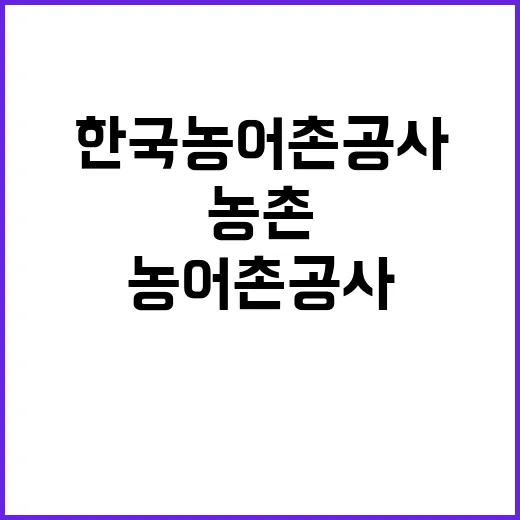 한국농어촌공사 비정…