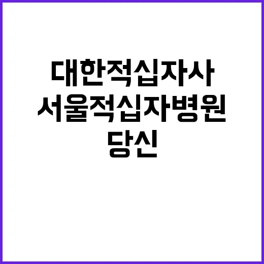 대한적십자사 비정규…