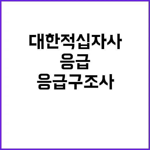 대한적십자사 비정규…