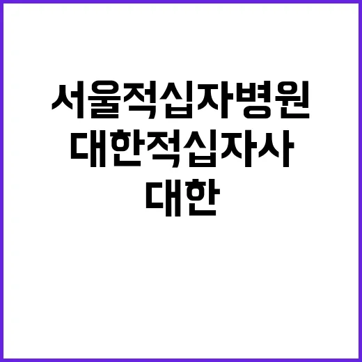 대한적십자사 비정규…