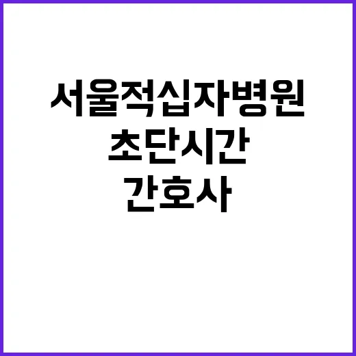 대한적십자사 비정규…