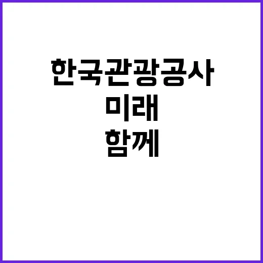 한국관광공사 비정규…