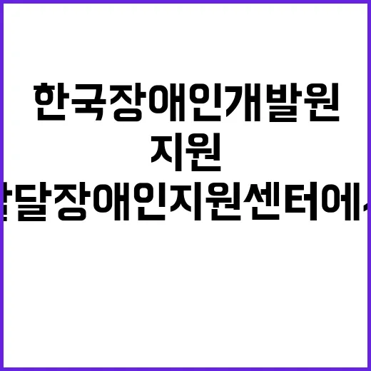 한국장애인개발원 비…