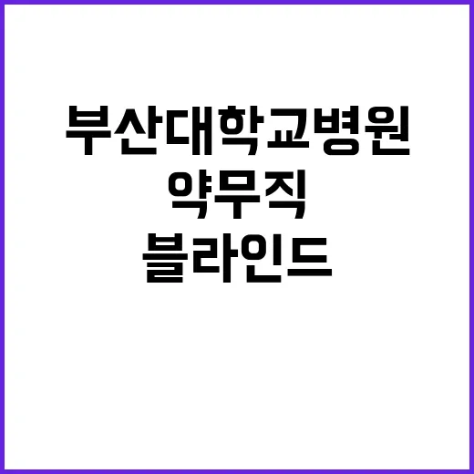 부산대학교병원 정규…