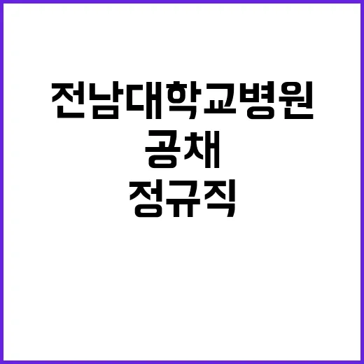 전남대학교병원 정규…